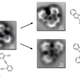 Illustration for article titled The First Images of Molecules Breaking and Reforming Chemical Bonds
